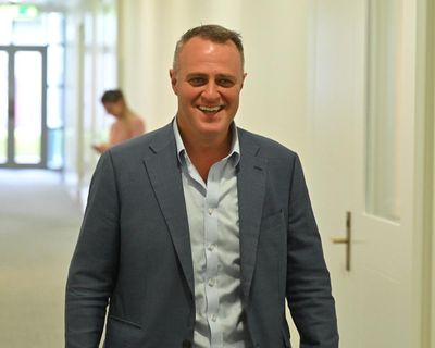 Tim Wilson urges scrutineers to ‘knock out informal votes’ for Zoe Daniel in leaked WhatsApp messages