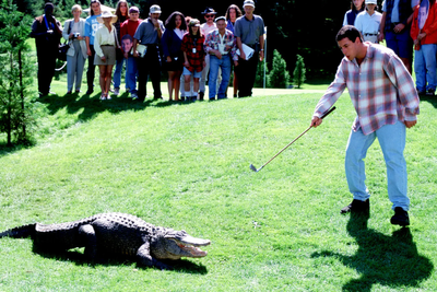 Morris the alligator: Adam Sandler pays tribute after death of Happy Gilmore co-star and ‘old friend’