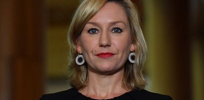 Fresh start for the Greens, with new leader Larissa Waters