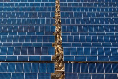 China First-quarter Emissions Fell Despite Rising Power Demand