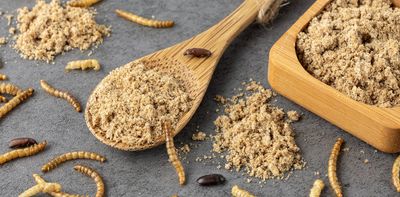 ‘I will not eat the bugs’: examining a right-wing narrative about scarcity and insect consumption