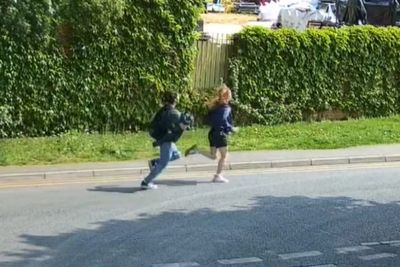 Police hunt for teenagers after kittens tortured and killed