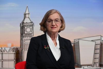 Controversial ex-Ofsted chief warns against ‘vilifying’ public bodies