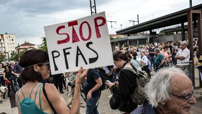 Residents of France's 'chemical valley' take industrial giants to court