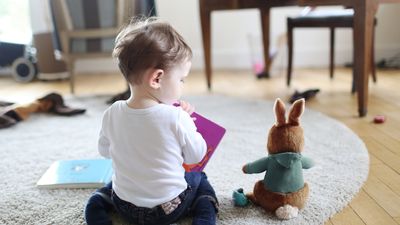 Anthropic's co-founder claims "AI teddy bears" could make parenting easier — "Oh, I wish you could talk to your bunny"