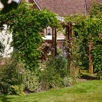 5 best plants to grow up a pergola for a beautiful, scented awning