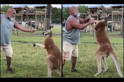 South Carolina Man Found Dead in Kangaroo Enclosure at Brother's Zoo Suffered 'Multiple Blunt Injuries': Police