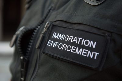 Chances to investigate criminal smuggling gangs missed, says watchdog