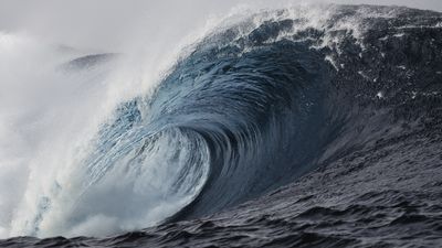 Dinosaur age tsunami revealed from tiny chunks of Japanese amber, study finds