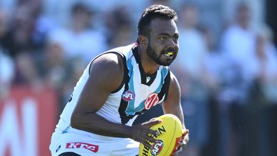Bulldogs coach fires back at Koch's sledging accusation