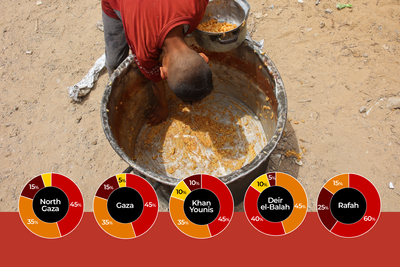 What is famine, and why is Gaza at risk of reaching it soon?