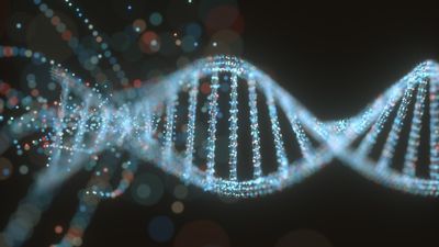 New CRISPR alternative can 'install' whole genes, paving the way to treatment for many genetic disorders