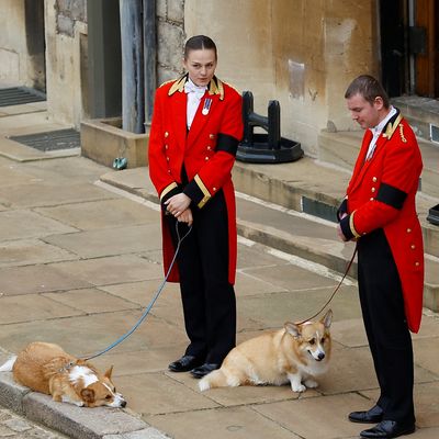 Sarah Ferguson Says Queen Elizabeth Communicates With Her From Beyond Via Beloved Corgis