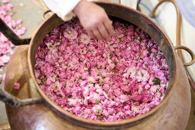 AP PHOTOS: The desert blooms, roses perfume the air and a Moroccan town comes to life