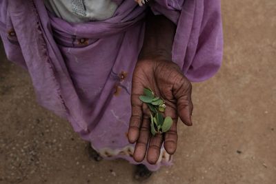 Almost 300m people at risk of death through starvation – report