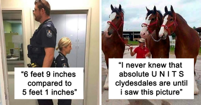 40 Photos With Humans For Scale To Show Just How Big Stuff Really Is, As Shared On This Twitter Page