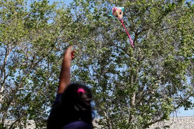 This LA school is planting trees to ‘supercharge’ childhood development