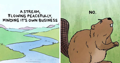 Artist Creates Humorous Comics That Might Tickle Your Funny Bone (31 Pics)