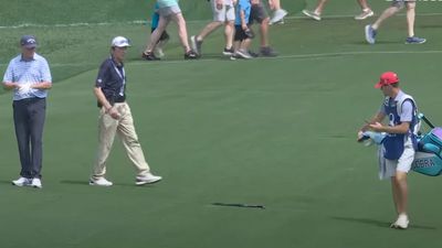 PGA Championship Announcers Really Wanted a Big Snake to Bite a Player's Golf Ball