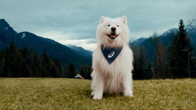 Sportswear company signs new canine ambassador: ‘Dogs motivate us to lace up, get out, and move’