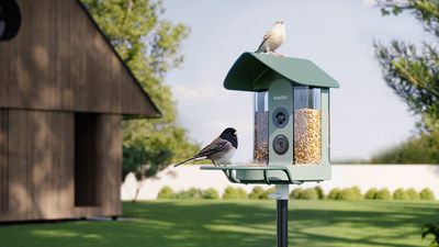 Finally, a bird feeder camera with 4K video, plus it has some handy features for any garden