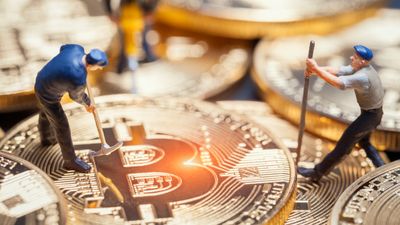 RICO crypto fraud investigation leads to twelve more arrests