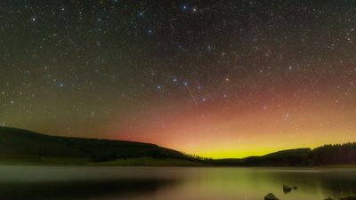 From Leaping Leo to the Big Dipper: Here's how to see the bright stars of spring rising in the east this season