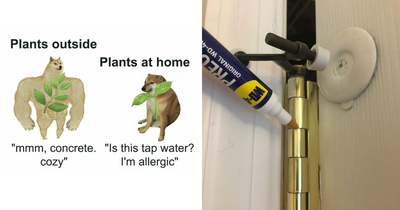 Forget The Basics, These 23 Amazon Hidden Gems Are Pure Gold