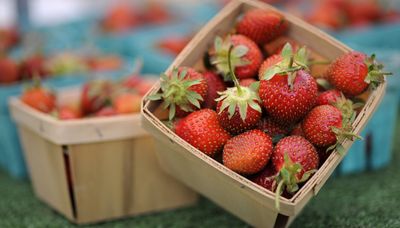 Here’s your 2025 guide to farmers markets throughout Chicago