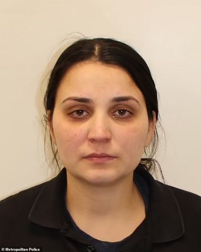 Pregnant burglar who posed as cleaner 'stole £500,000 of jewellery from London’s second largest home'