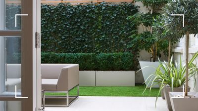 3 outdated garden trends experts say we should be avoiding in 2025