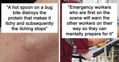16 People Share Quirky Facts They Think Everyone Should Be Aware Of