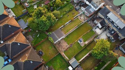 Are you a good neighbour? These common garden etiquette rules might have you second-guessing