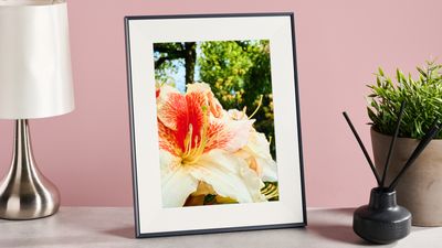 My snaps looked great on the Aura Aspen – but not as great as the digital photo frame itself