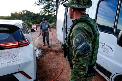 Mexico, Chile and Uruguay halt poultry imports from Brazil after bird flu outbreak