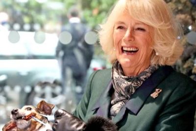 Chelsea Flower Show to feature sweet tribute to King and Queen’s dogs
