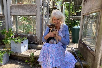 Names of King and Queen’s dogs to feature in Chelsea Flower Show garden