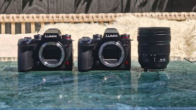 Panasonic Lumix S1II vs S1IIE: What are the actual differences?