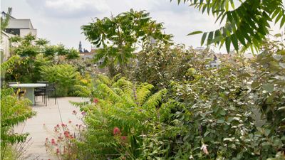 Wild gardening is the standout trend for 2025 – an urban garden designer reveals the low-maintenance trick to perfecting the look