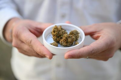 High Times For German Cannabis Firm Amid Medical Boom
