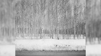 Arts university lecturer awarded landmark US$22,000 grant for new photography book project