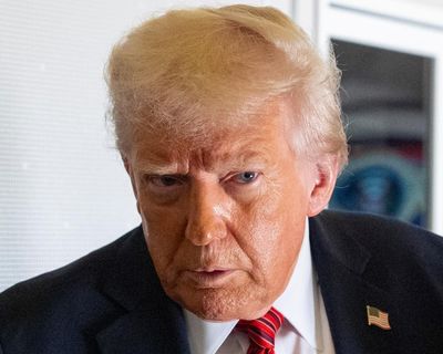 What the last Trump presidency can teach us about fighting back