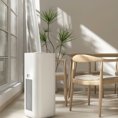 Experts warn against opening your windows when using an air purifier — and what you can *actually* do when temperatures soar