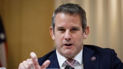‘Good God’: Adam Kinzinger rips Trump admin for proposing a reality show where immigrants ‘compete’ for citizenship
