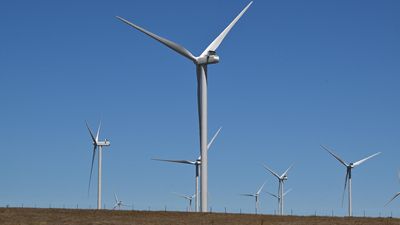 Renewables, AI rules top productivity reform wishlist