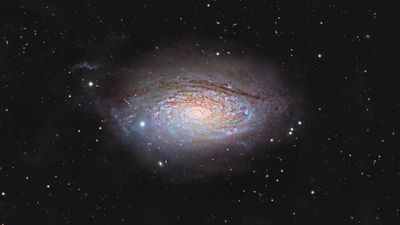 Amateur astrophotographer catches a cosmic sunflower in bloom