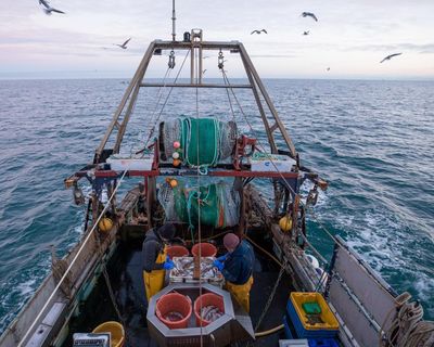 UK-EU talks ‘down to the wire’ as fishing and youth mobility hold up deal