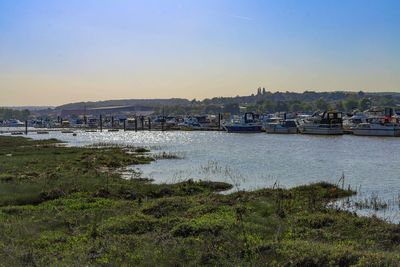 Habitat in many estuaries at high risk of being ‘squeezed’ out by climate change