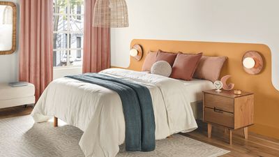 Sherwin-Williams' Agreeable Gray is one of the country's favorite gray paints – but is it the right choice for you?