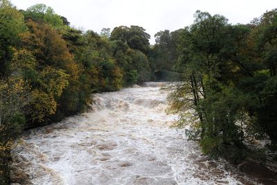 Government ‘could miss chance to tackle chemical pollutants from wastewater’